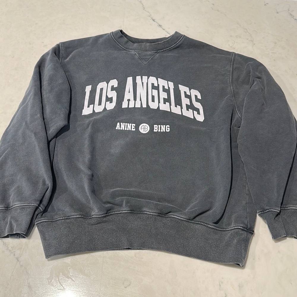 Anine Bing Ramona Ramona University Sweatshirt Size Small Revolve
